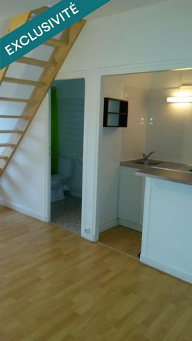 photo no. 8