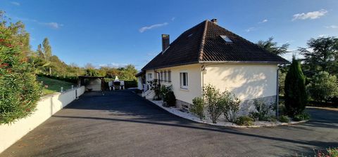 photo no. 12