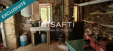 photo no. 8