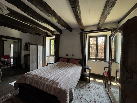photo no. 12