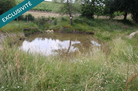 Terrain d’Exception à Saint-Palais (33820) – 9 157 m²