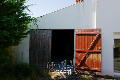 photo no. 11
