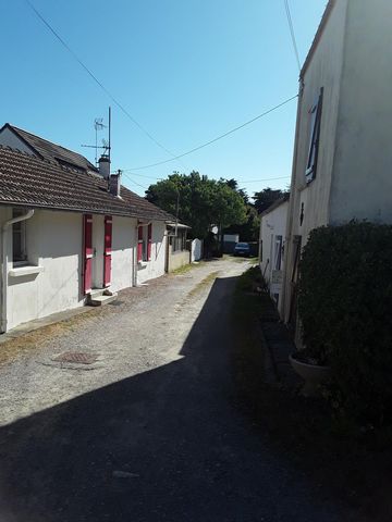 photo no. 12
