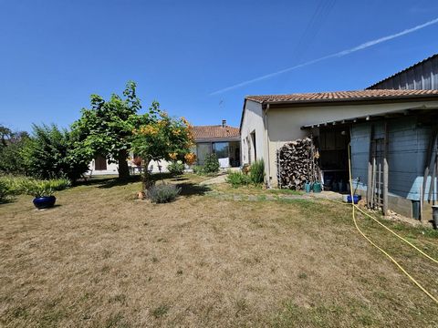 photo no. 14