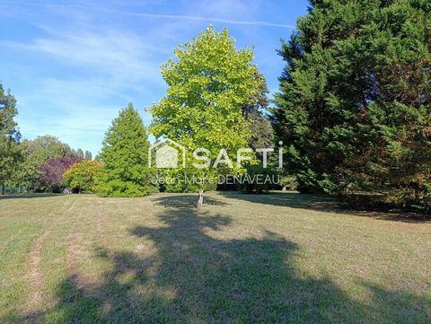 photo no. 14