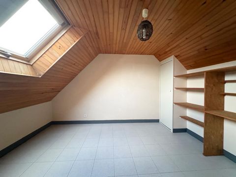 photo no. 5