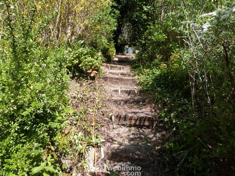 photo no. 11