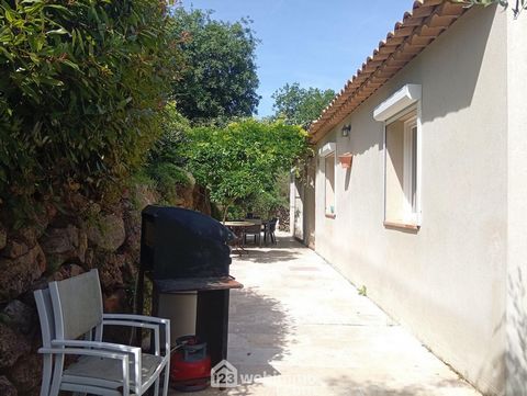 photo no. 17