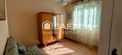 photo no. 8