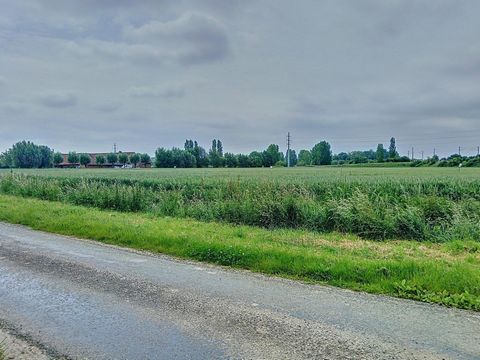photo no. 1