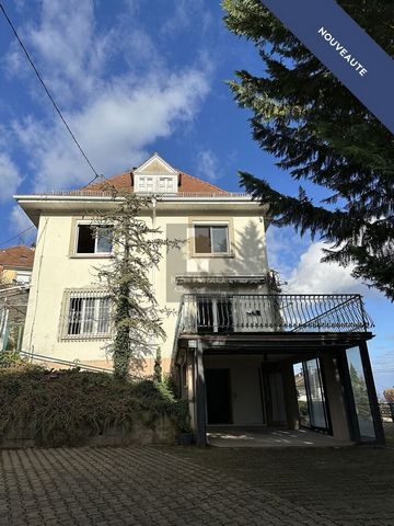 photo no. 3