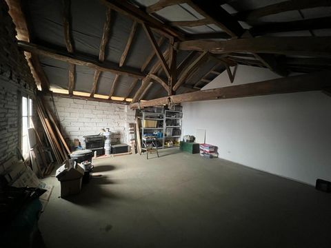 photo no. 6