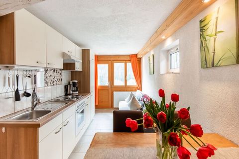 Cet appartement moderne pour un maximum de 4 personnes est situé dans une maison de vacances indépendante à Sankt Gallenkirch-Gortipohl dans le Vorarlberg, directement dans l'un des plus grands domaines skiables d'Autriche, le domaine skiable de Silv...