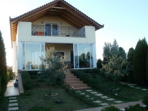 Avlida, Chalkida. Residence in (2) two acres plot on a municipal road on three levels, 2km. from the sea, 9 km from the center of Halkida, semi basement (garage, warehouse, independent studio 21 sq.m), ground floor (kitchen, bathroom, two lounges wit...