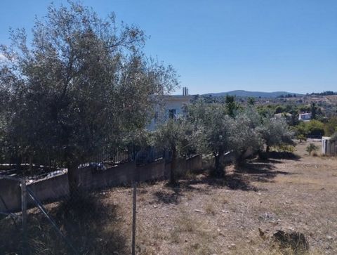 Plot of land for sale in Koropi, Attica. Plot of 580 sq.m., above the Panathinaikos stadium in Ano Karelas, Koropi. Contains nine olive roots and a peanut. Fenced with paddock and barbed wire. The land is located in a residential area under inclusion...
