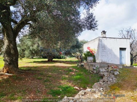 For sale lamia for renovation located in the countryside of Carovigno, a short distance from the sea and just two kilometres from the town centre, near the famous path of centuries-old olive trees. The appurtenant land is cultivated as an olive grove...