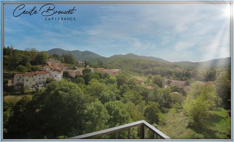 Dpt Pyrénées Orientales (66), à vendre SAINT LAURENT DE CERDANS maison P8 de 155 m² - Terrain de 313,00 m²