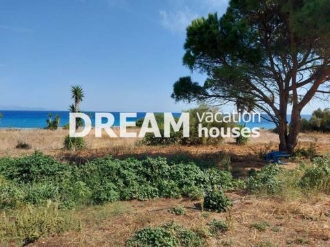 Description Kipseli, Plot For Sale, 4.700 sq.m., View: Sea view, Features: For development, Price: 1.050.000€. Πασχαλίδης Γιώργος Additional Information Plot of a surface of 4,700 sqm in Kypseli of Zakynthos. It is in contact with the sea. The plot i...