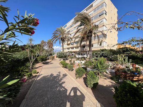 Euromar Costa sprzedaje w okolicy Av. Europeos, przestronny apartament z niezakłóconym bocznym widokiem na morze. Nieruchomość znajduje się zaledwie 250 metrów od plaż w centrum, w otoczeniu usług, komunikacji i sklepów. Osiedle posiada ogrody i wspó...