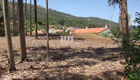 Sale of Land, Outeiro, Viana do Castelo, with 1310 m2. Ref.: VCC11411 ENTREPORTAS Founded in 2004, the ENTREPORTAS group with more than 15 years, is a leader in real estate mediation in the markets in which it operates, offering a quality and innovat...