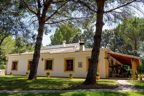 A hugely impressive Finca with over 9000m2 of land between Gandia and Xativa in Valencia near to the town of Barcheta. This five bedroom, three bathroom house offers you a lot of bang for your buck and with its recent price drop down to 625000 Euros ...