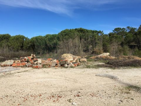 Rustic land in Cernache with a total area of 4950m2 and consists of pine forest and bush. Easy access to major roads - IC2, A13 and A1. Contact us! Pedro Lopes Phone: 93/1854252 Call to the national mobile network Tlf.: 21/9594436 Call for national l...