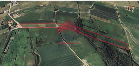 Rustikales Grundstück mit 18.680 m² in São Bernardino, Peniche. Für touristische und landwirtschaftliche Aktivitäten vorgesehen. Gute Anbindung an die IP6 und die A8. *Die bereitgestellten Informationen dienen lediglich zu Informationszwecken, sind n...