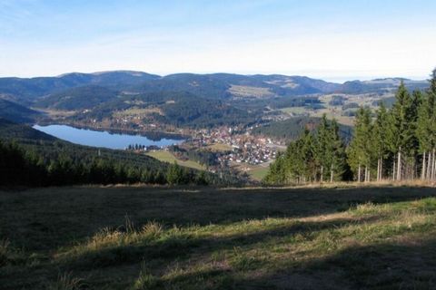 Haus Windeck in Rötenbach, Freiburg-Donaueschingen, near Titisee-Neustadt, Hinterzarten, Schluchsee, Feldberg, Belchen, Freiburg, Danube