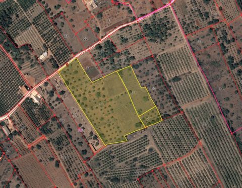 Description Three rustic plots with a total of 23600m² in Franqueira, near the Arade River. Arable crops, carob trees, almond and olive trees. Three rustic plots with a total of 23600m² in Franqueira, near the Arade River. Arable crops, carob trees, ...