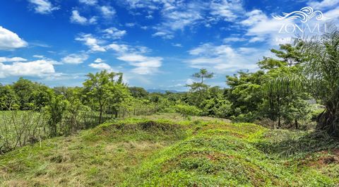 Découvrez l’opportunité parfaite avec cette propriété polyvalente de 3 232 m², offrant un potentiel commercial et résidentiel. Stratégiquement situé à seulement 8 minutes de la plage de Montezuma et du centre-ville, ce terrain de choix est également ...