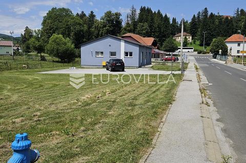 Klenovnik, a house that is used as a business premises on a building plot of 1295 m2. The house, with an area of 137 m2, was built in 2013, in an excellent location right in the center. The land is a great investment opportunity. The possibility of b...