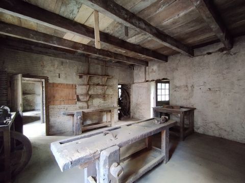 photo no. 7