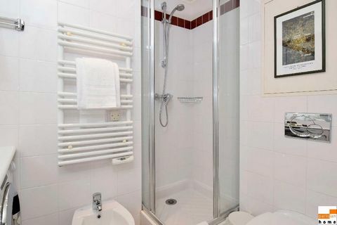 photo no. 8