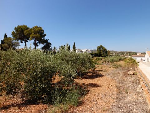 Grote vlakke kavel te koop in Javea Grote vlakke kavel te koop in Javea, dicht bij de urbanisatie El Piver. De totale oppervlakte van de kavel is meer dan 5000 m² en vrij om te bebouwen. De kavel is urbaniseerbaar en kan in meer dan één plot worden v...