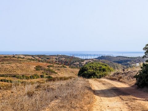 Deal Homes presents, Rustic land with 2960 m2, with some slope, intended for agricultural purposes. Located in the municipality of Vila do Bispo, this land has an extraordinary sea view of the highest area, being close to Ingrina Beach and within wal...