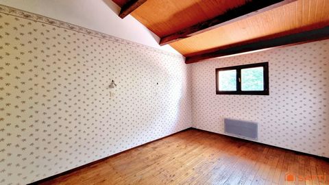 photo no. 11