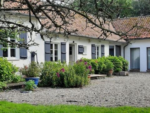 photo no. 11