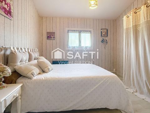 photo no. 11