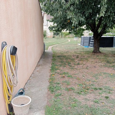 photo no. 13