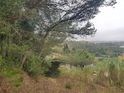 Grond te koop met 8.080 m2 in Caparide, São Domingos de Rana. Dit land heeft PIP goedgekeurd voor de bouw van een seniorenresidentie, met 111 bedden, waarbij alleen de speciale projecten moeten worden gepresenteerd. Goede locatie, gemakkelijke bereik...