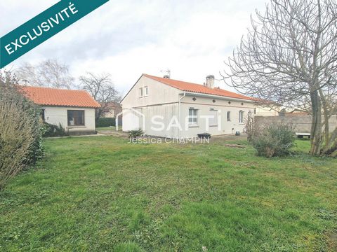 photo no. 14