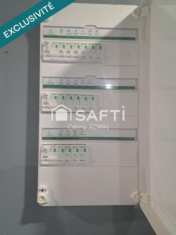 photo no. 11
