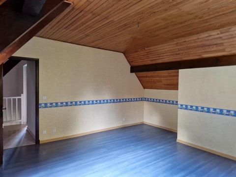 photo no. 8