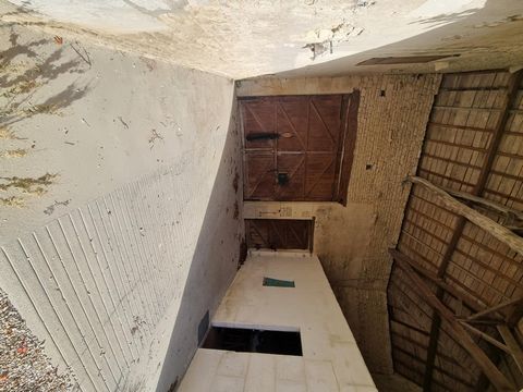 photo no. 12