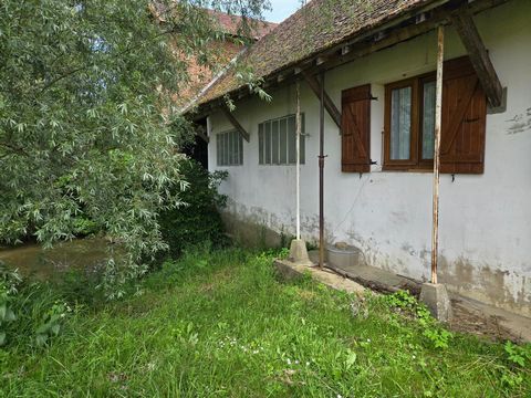 photo no. 10