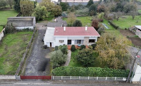 photo no. 13