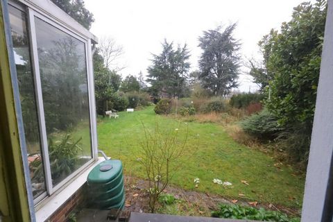 photo no. 14