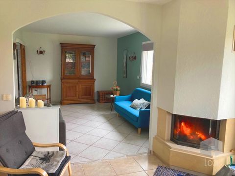 photo no. 16