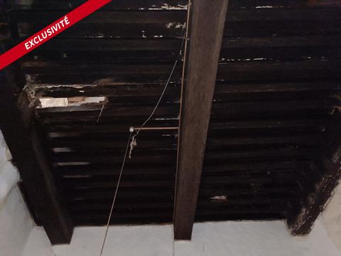 photo no. 6