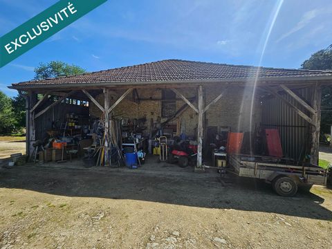 photo no. 15
